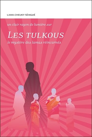 Les Tulkous - Le mystère des lamas réincarnés Religion & Esotericism