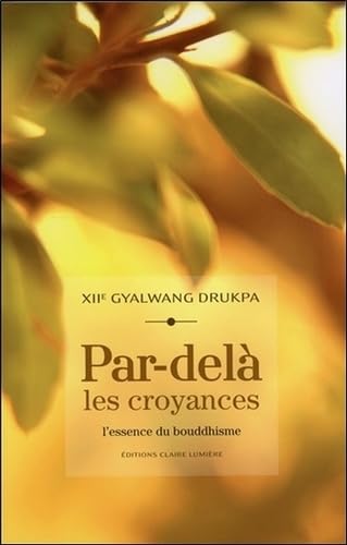 Par-delà les croyances - L'essence du bouddhisme book
