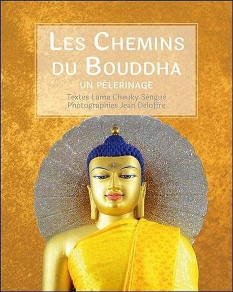 Les Chemins du Bouddha - Un pèlerinage book