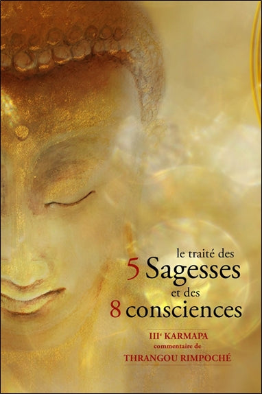 Le traité des 5 sagesses et des 8 consciences : traduction et commentaire de l'ouvrage du IIIe karmapa Rangjoung Dorjé, Le traité distinguant conscience individuelle et sagesse Religion & Esotericism