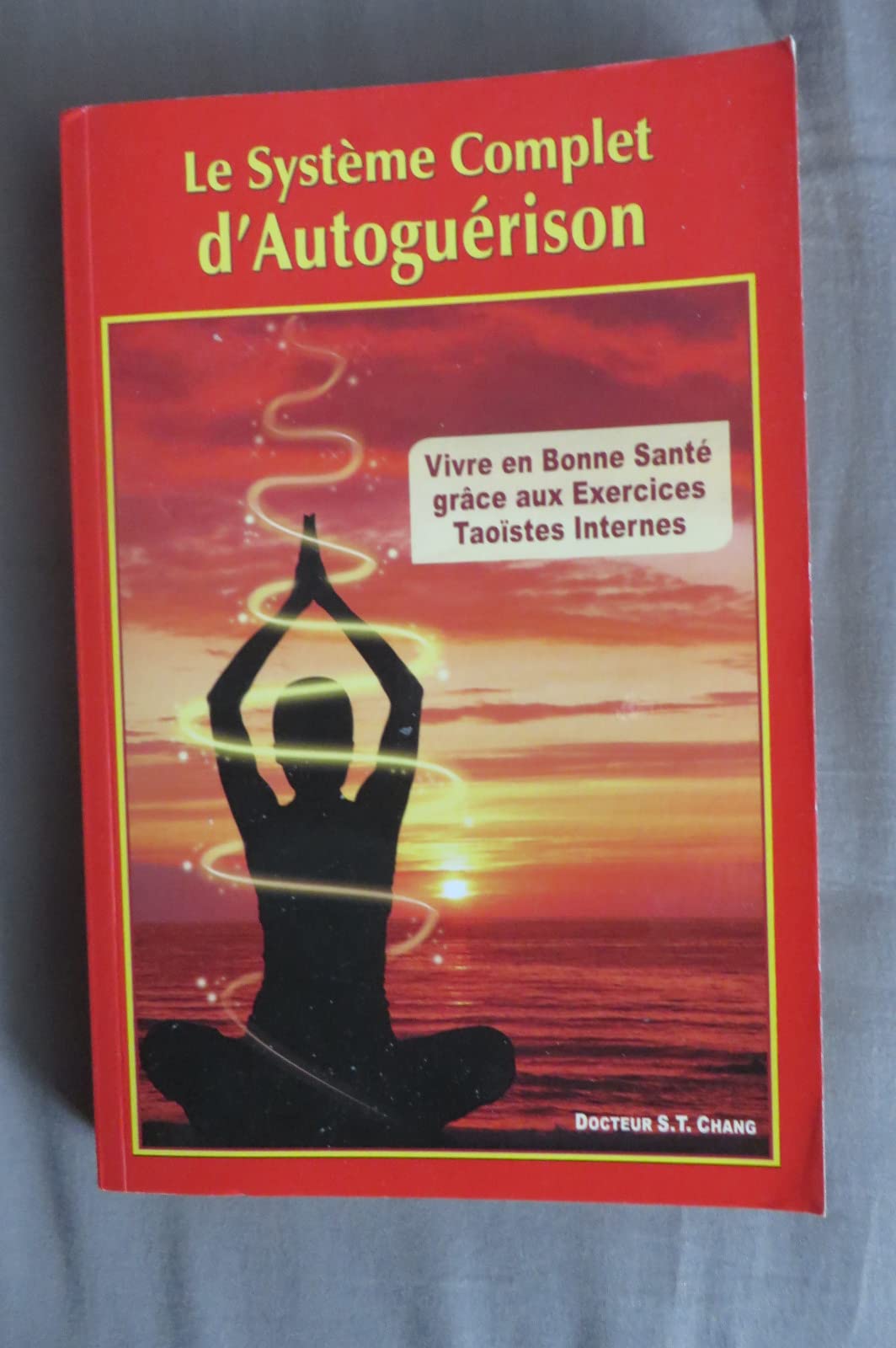 Le système complet d'autoguérison : Vivre en bonne santé grâce aux exercices taoïstes internes book
