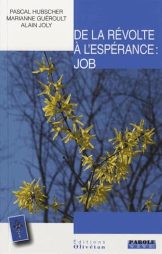 De la révolte à l'espérance : Job: Conférences de Carême 2013 book