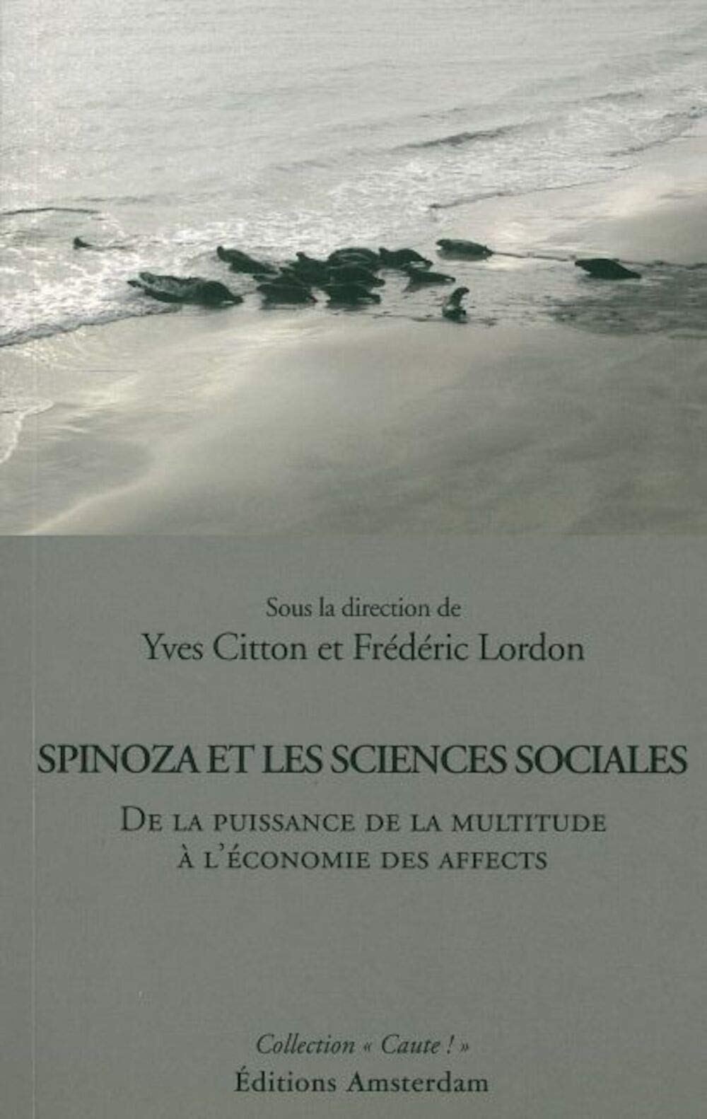 Spinoza et les sciences sociales: De la puissance de la multitude à l'économie des affects Books