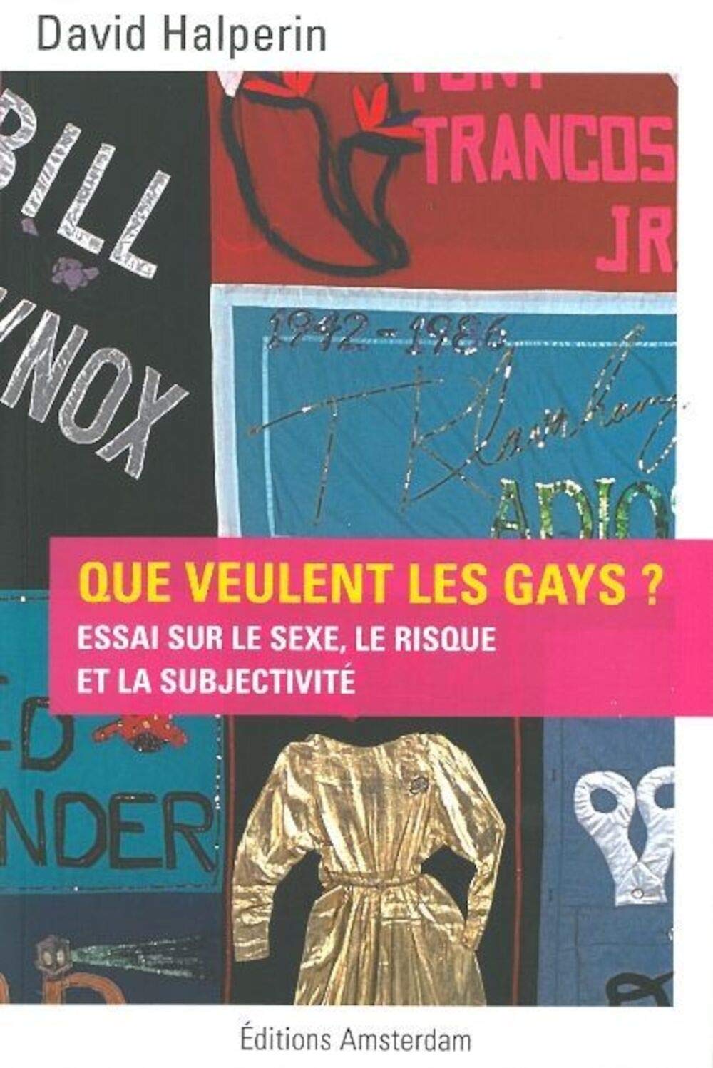Que veulent les gays ?: Essai sur le sexe, le risque et la subjectivité book