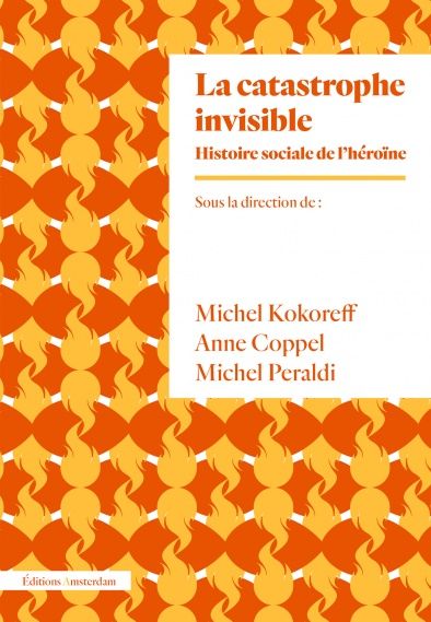La catastrophe invisible : histoire sociale de l'héroïne (France, années 1950-2000) Politics & History