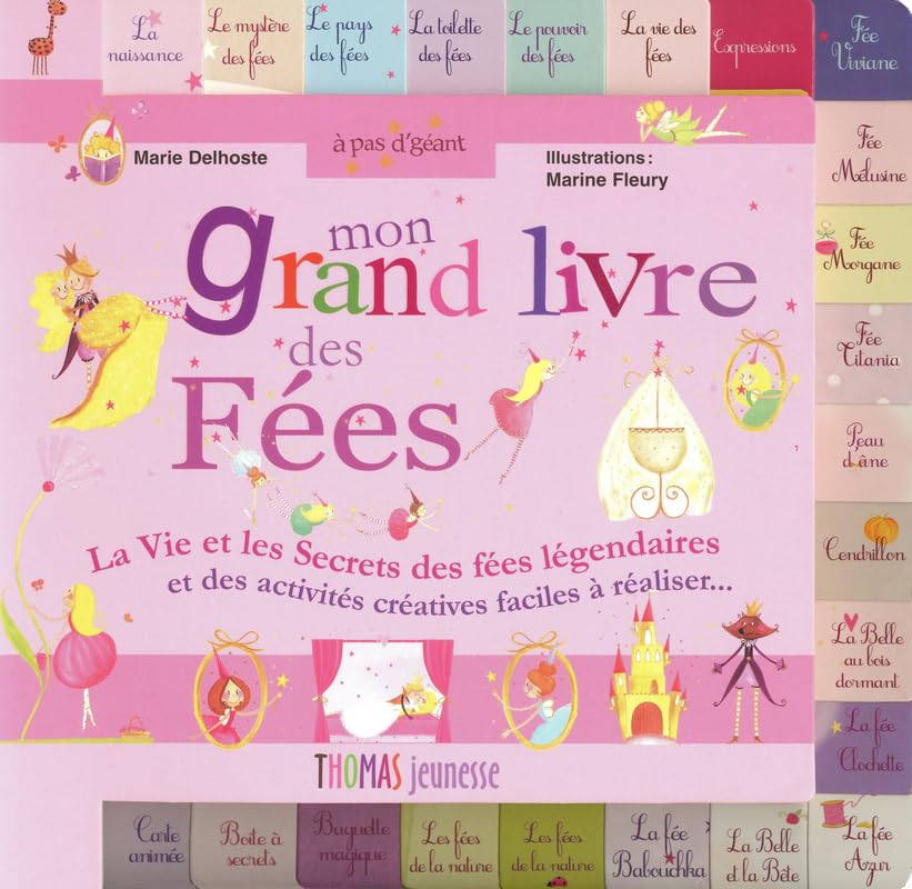 Mon grand livre des fées book