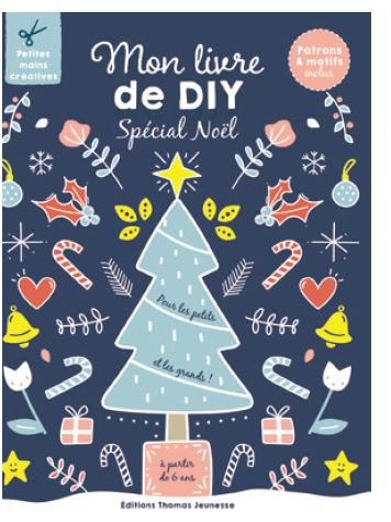 Mon livre de DIY : spécial Noël : pour les petits et les grands ! Non-fiction