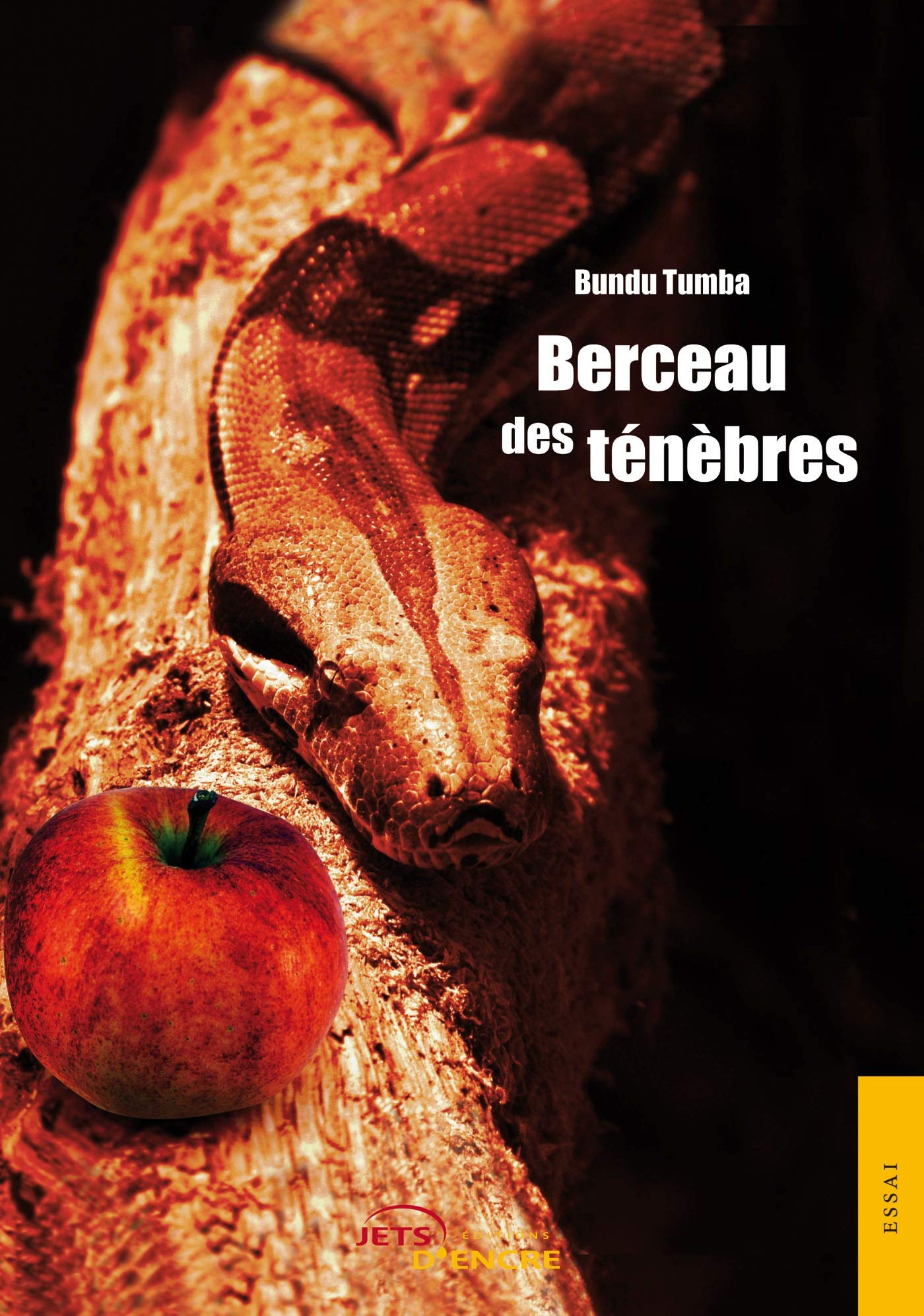 Berceau des ténèbres book