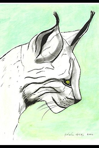 L'incroyable Monsieur Lynx book