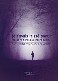 Je t avais laisse partir mais je ne t avais pas encore quitte book