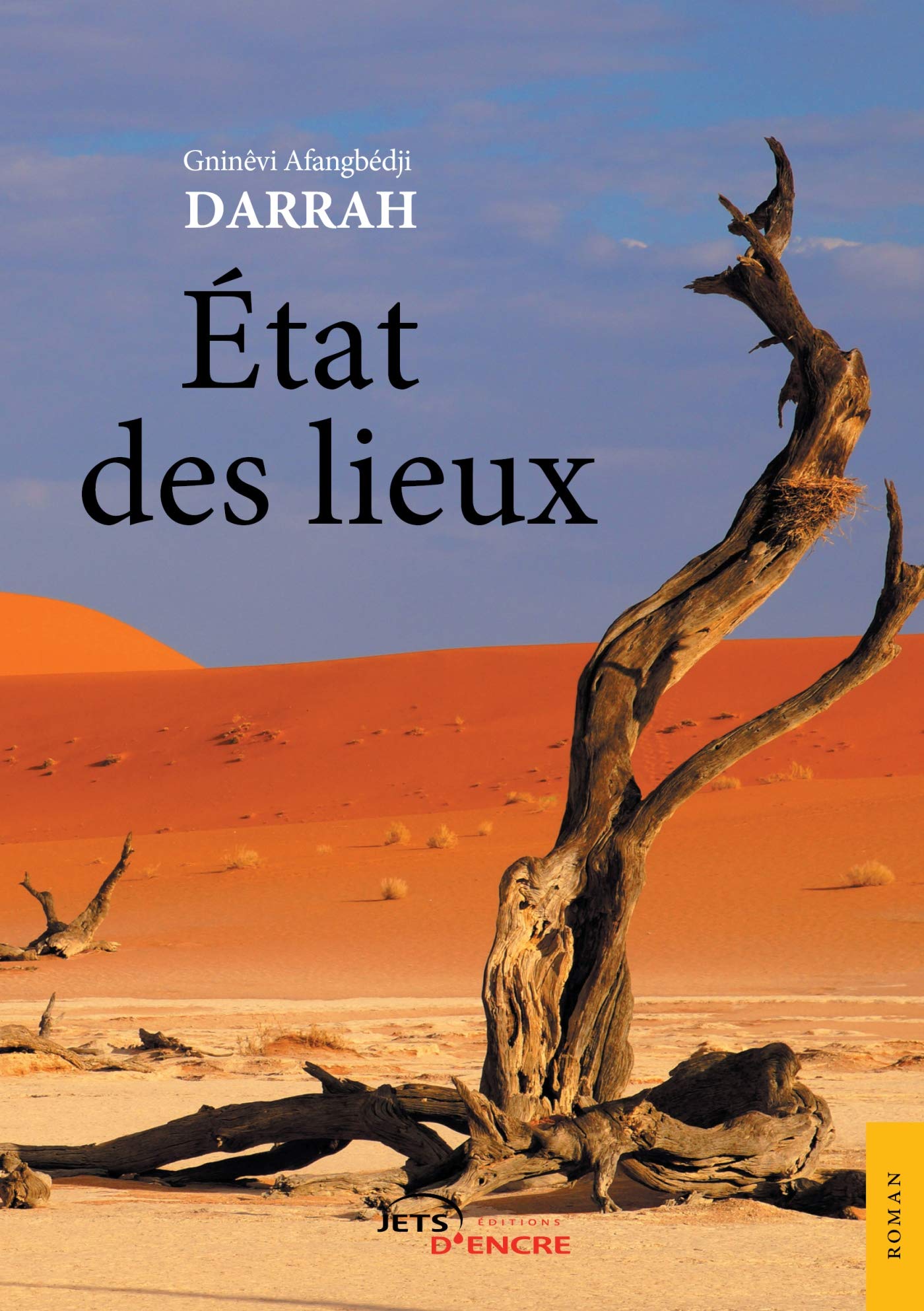 Etat des lieux book