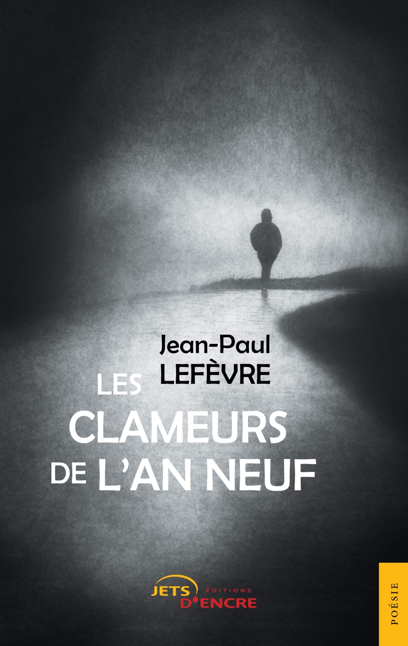 Les clameurs de l'an neuf book
