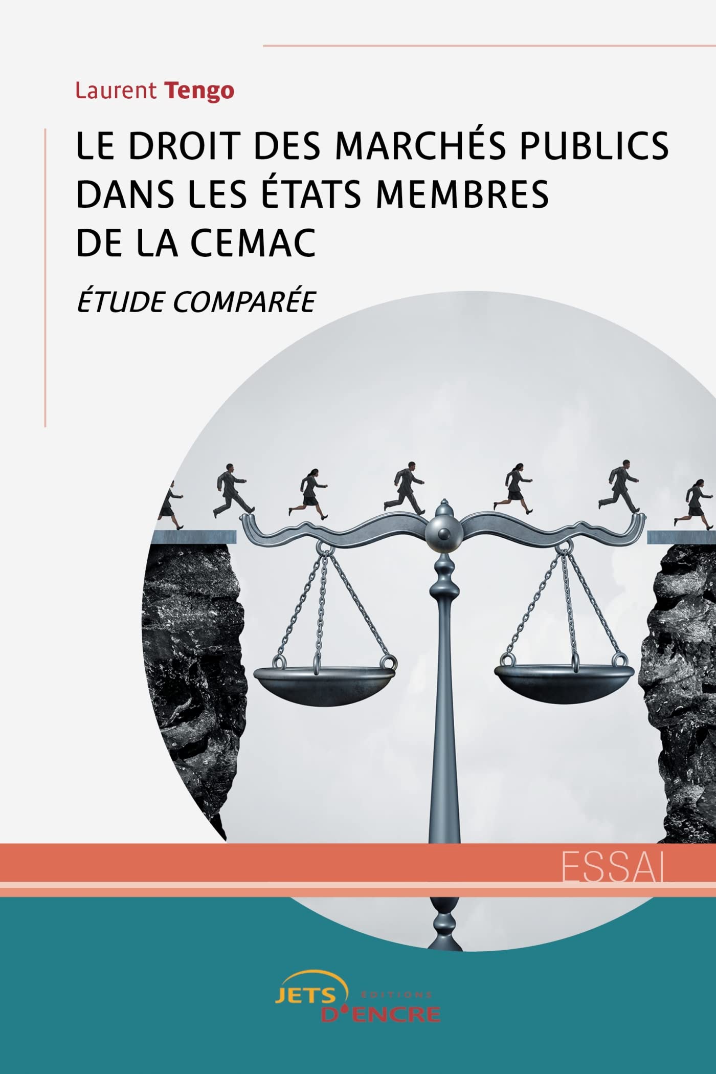 Le droit des Marchés publics dans les États membres de la CEMAC: Etude comparée book