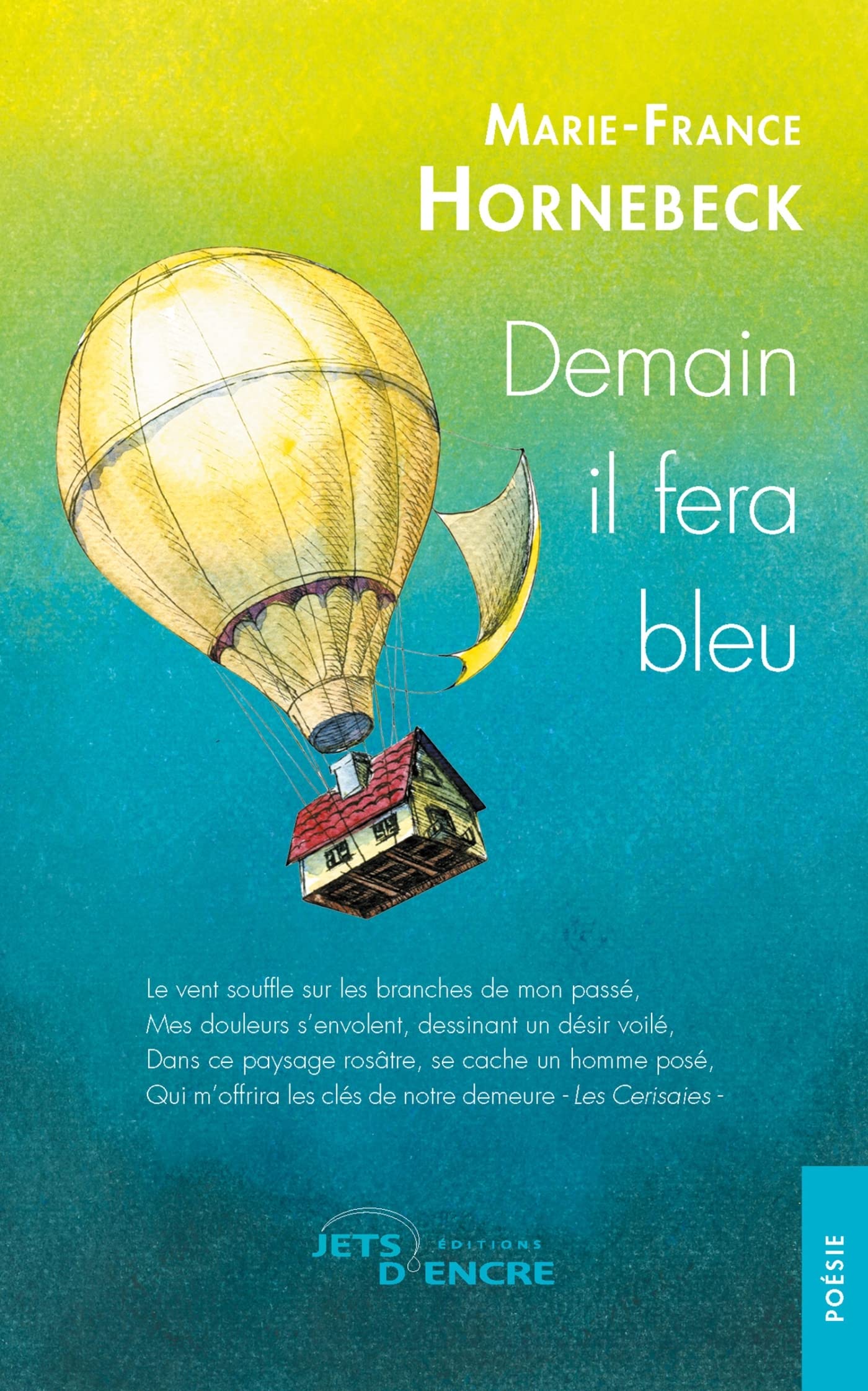 Demain il fera bleu book