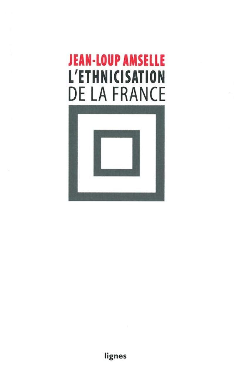 L' Ethnicisation de la France Books