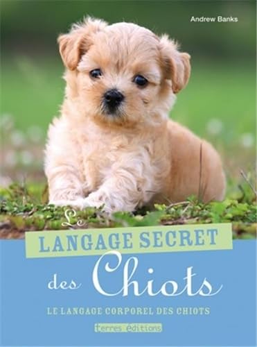 LANGAGE SECRET DES CHIOTS (LE): Le langage corporel des chiots Pets