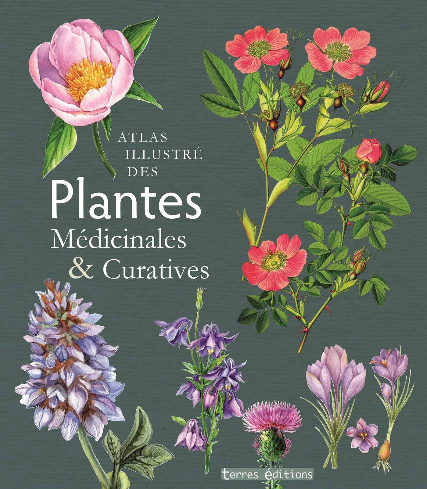 Atlas illustré des plantes médicinales et curatives book