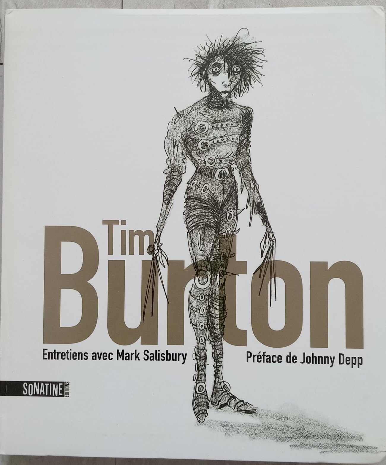 Tim Burton - Entretiens avec Mark Salisbury Film, Art & Culture