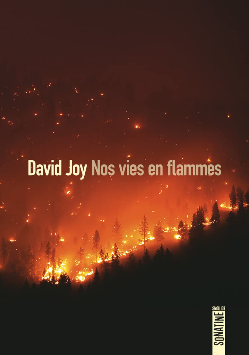 Product Image: Nos vies en flammes