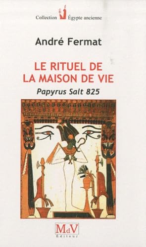 Le rituel de la maison de vie: Papyrus Salt 825 book