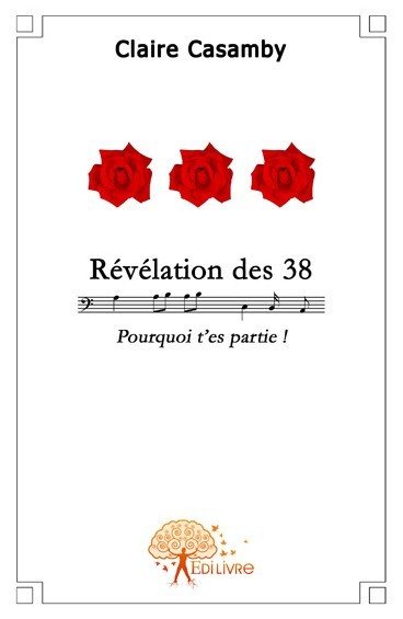 Révélation des 38 : Pourquoi t'es partie ! book