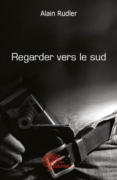 Regarder vers le sud : Le détour book