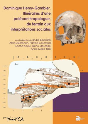 Dominique Henry-Gambier, itinéraires d'une paléoanthropologue, du terrain aux interprétations sociales Mathematics