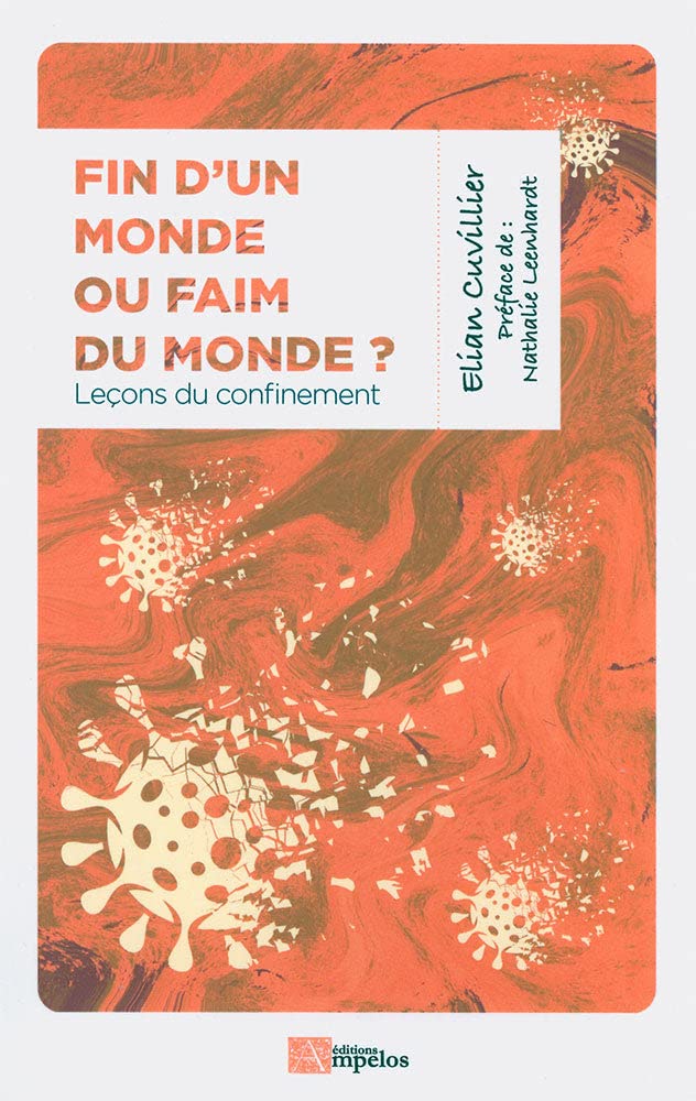 Fin d'un monde ou faim du monde ?: Leçons du confinement book
