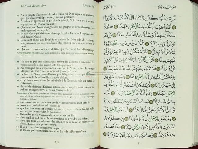 Le Coran - Français / Arabe: couverture daim souple - col vert book