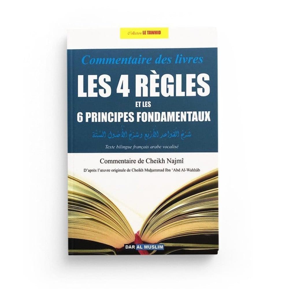 COMMENTAIRE DES LIVRES LES 4 RÈGLES ET DES 6 PRINCIPES FONDAMENTAUX book