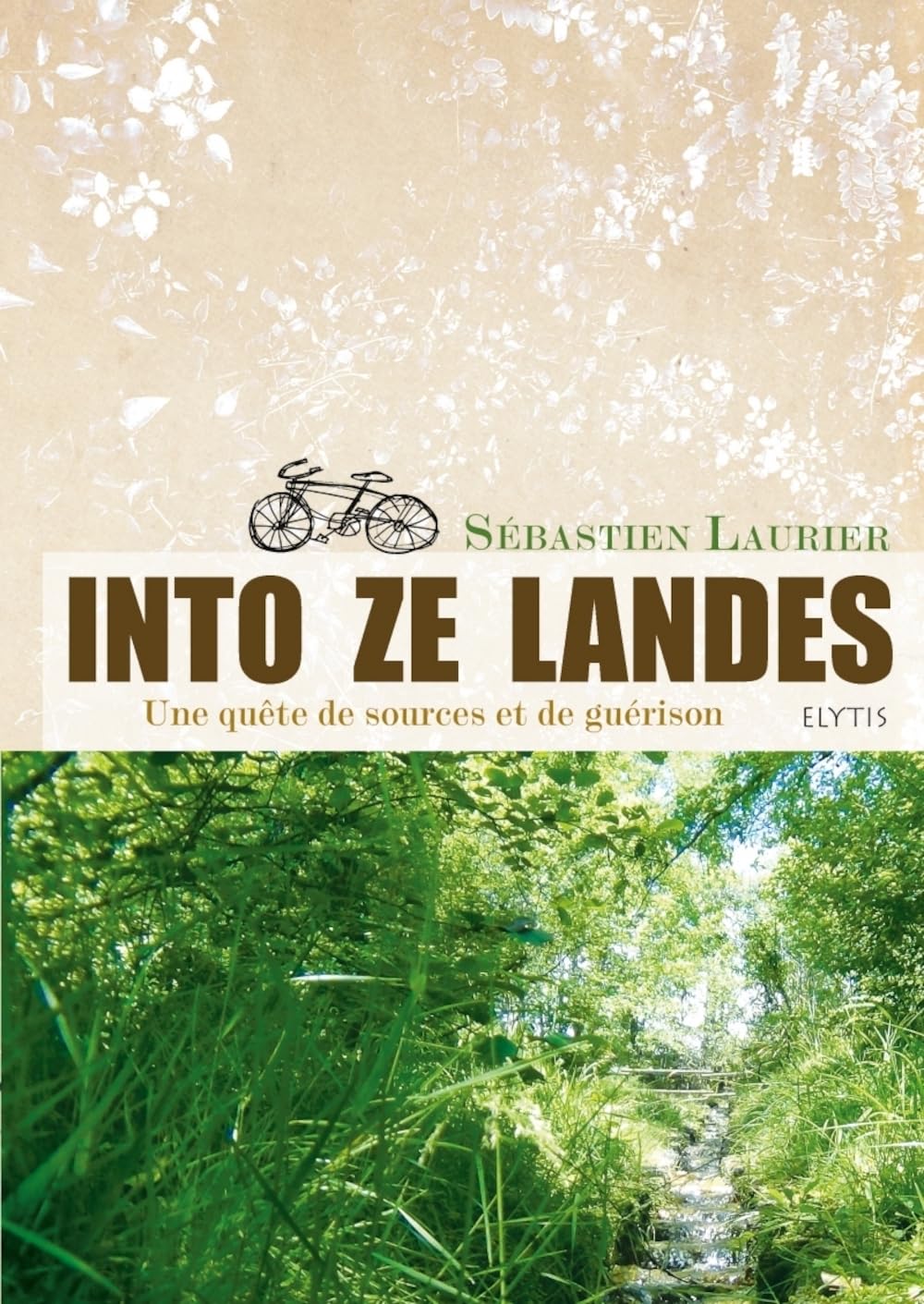 Into ze Landes: Une quête de sources et de guérison book