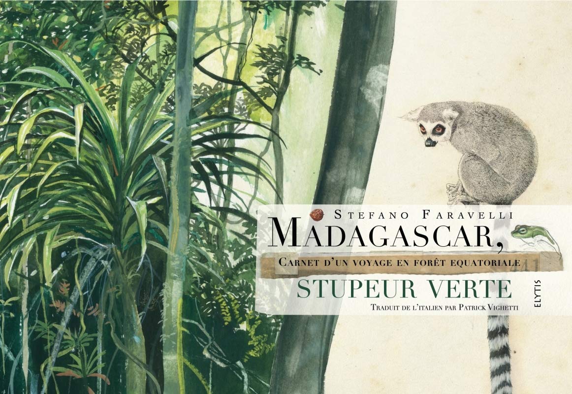Madagascar, stupeur verte: Carnet d'un voyage en forêt équatoriale book
