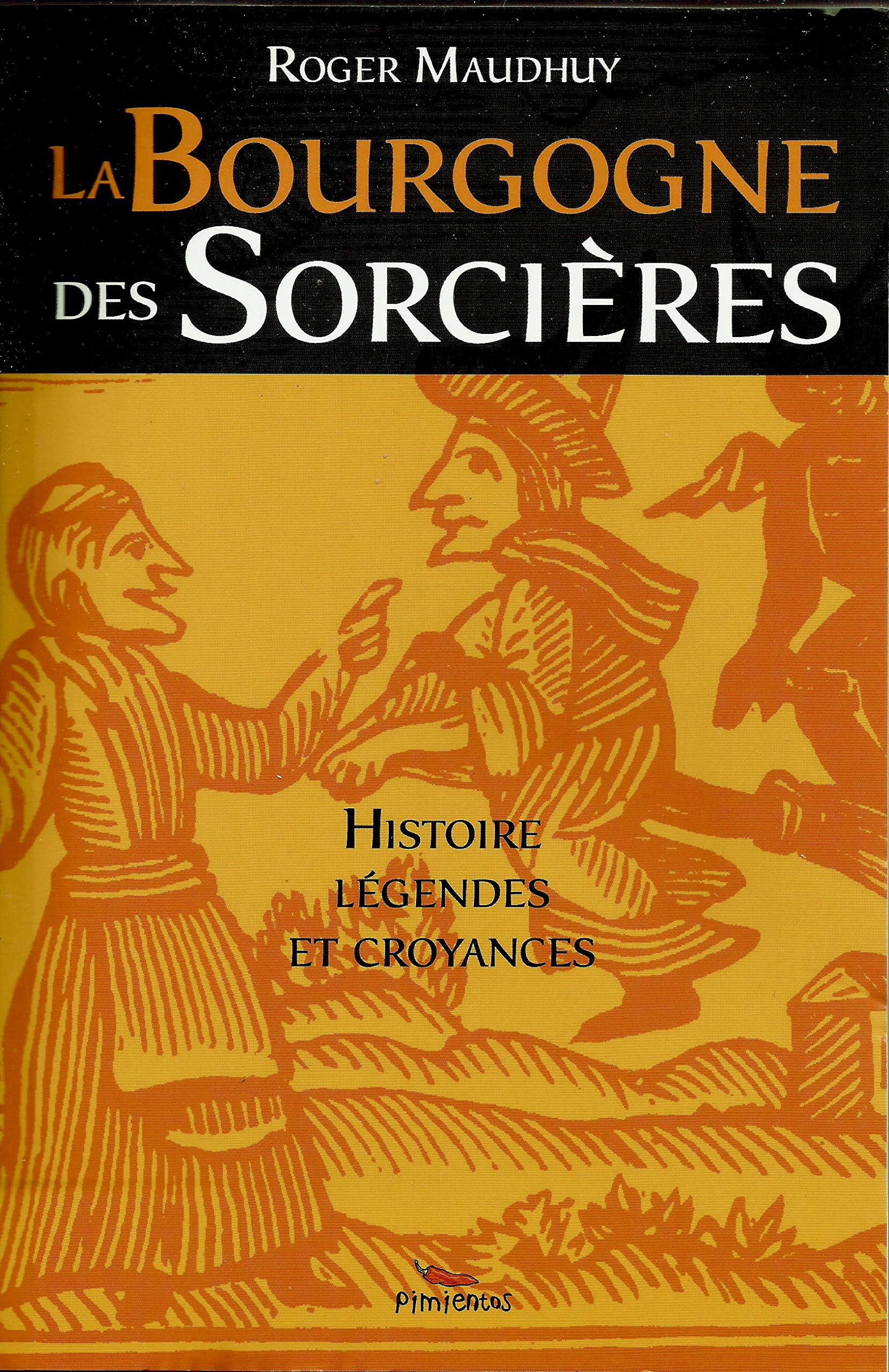 La Bourgogne des sorcières : Entre histoire et légendes Books