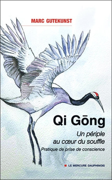 Qi gong : un périple au coeur du souffle : pratique de prise de conscience Leisure, Home & Garden