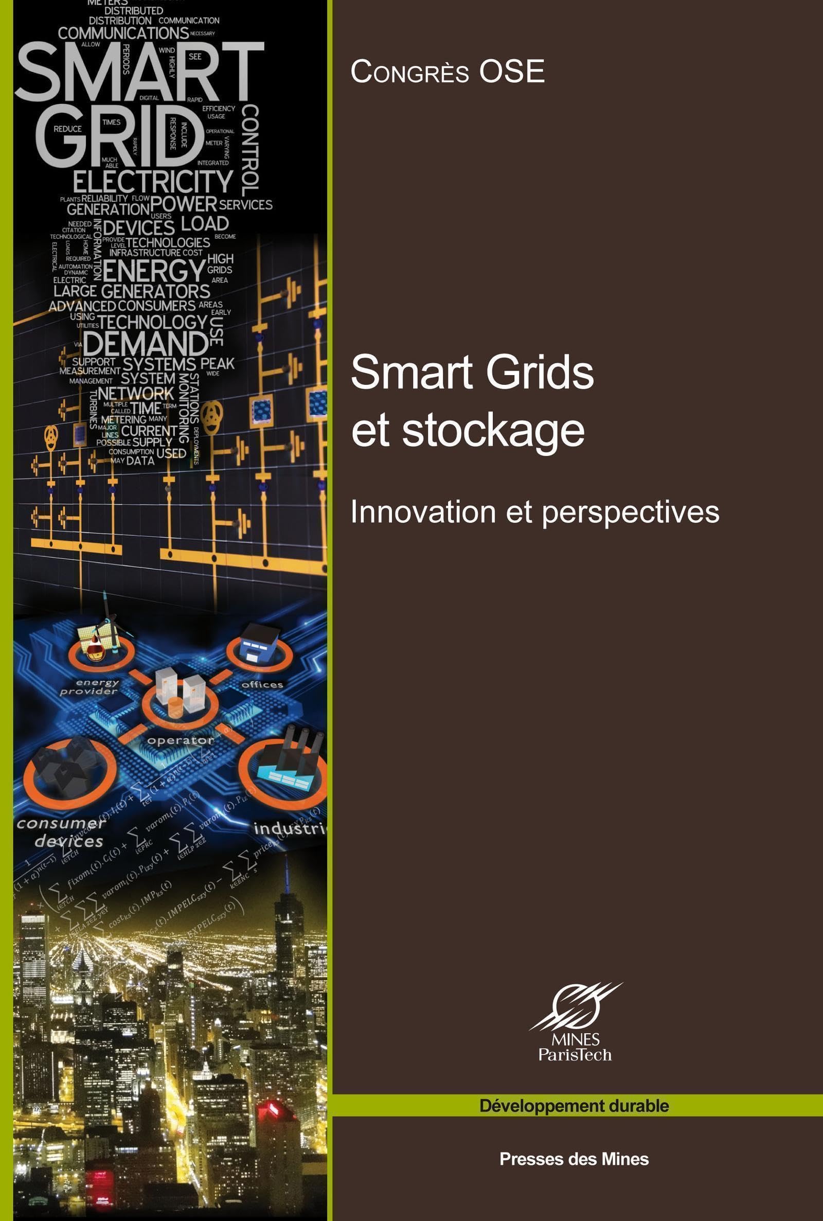 Smart grids et stockage : innovations et perspectives - Congrès 27 septembre 2013. book