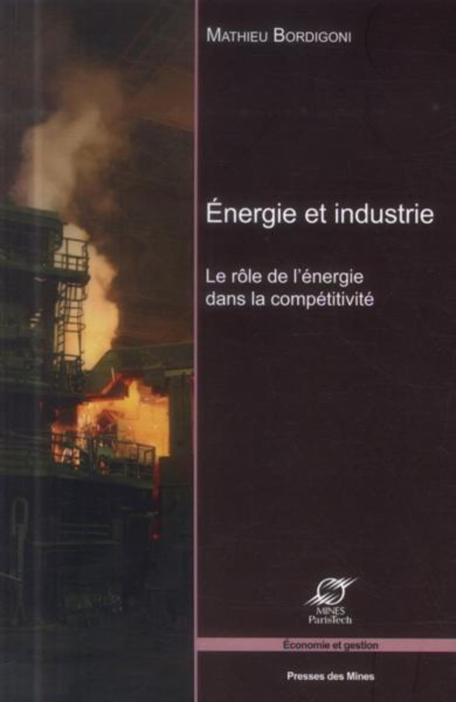 Énergie et industrie: Le rôle de l'énergie dans la compétitivité. book