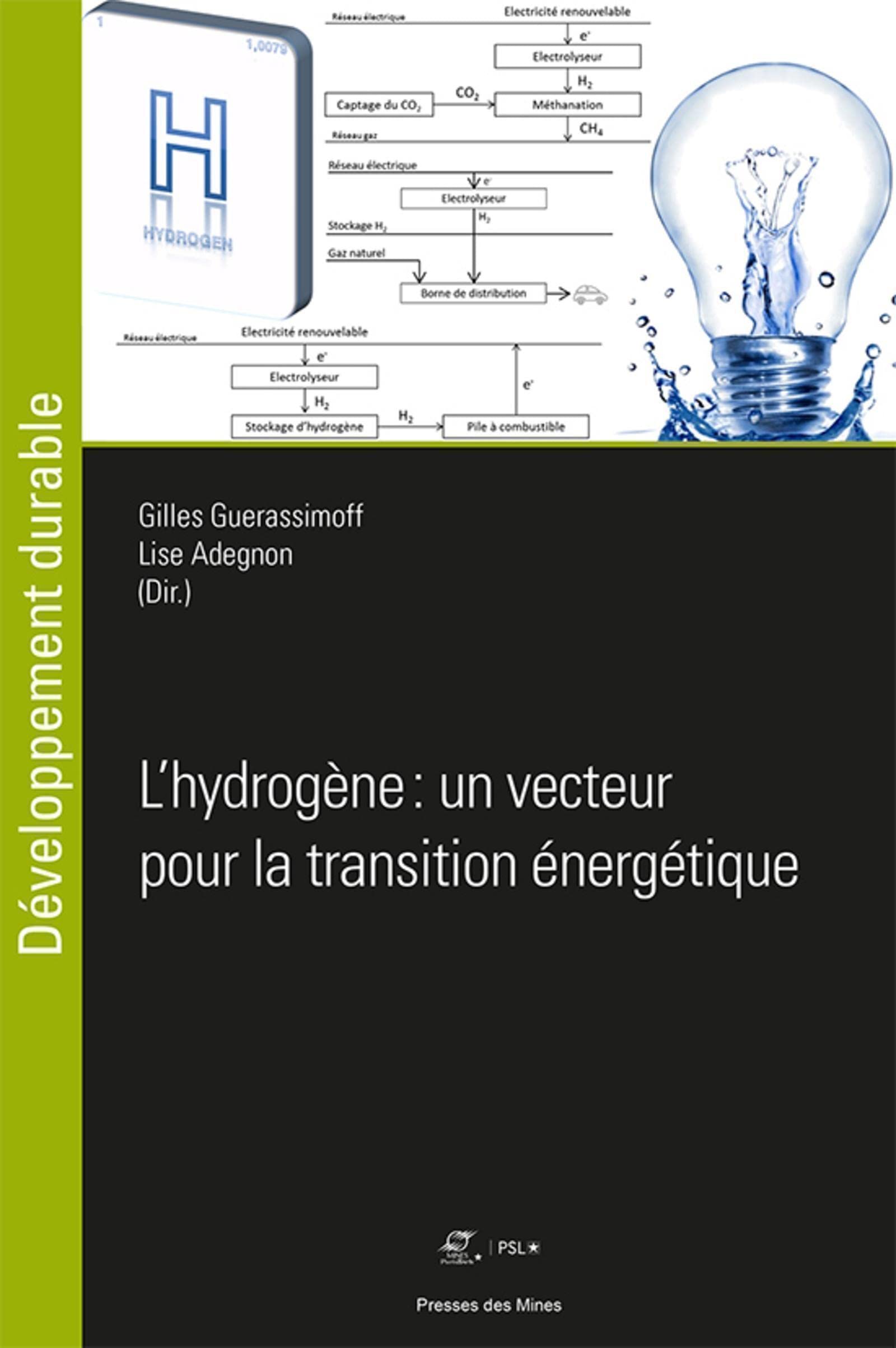 L'hydrogène, un vecteur pour la transition énergétique ? book