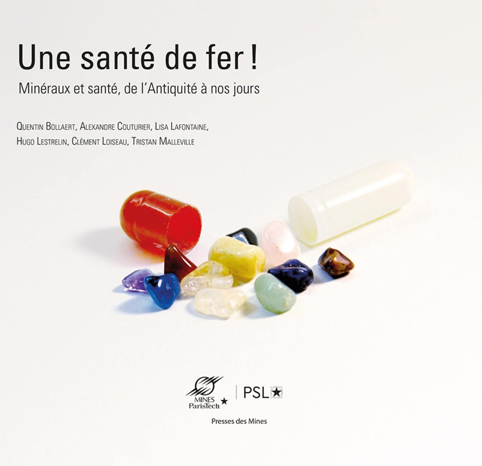 Une santé de fer !: Minéraux et santé, de l'Antiquité à nos jours book