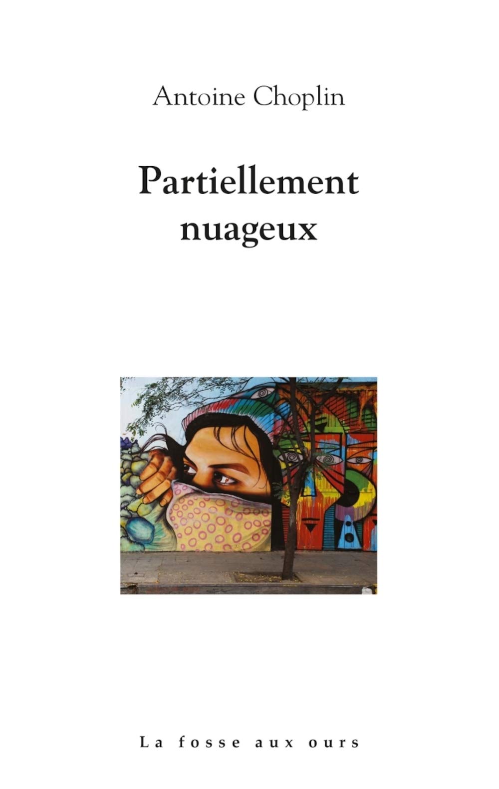 Partiellement nuageux book