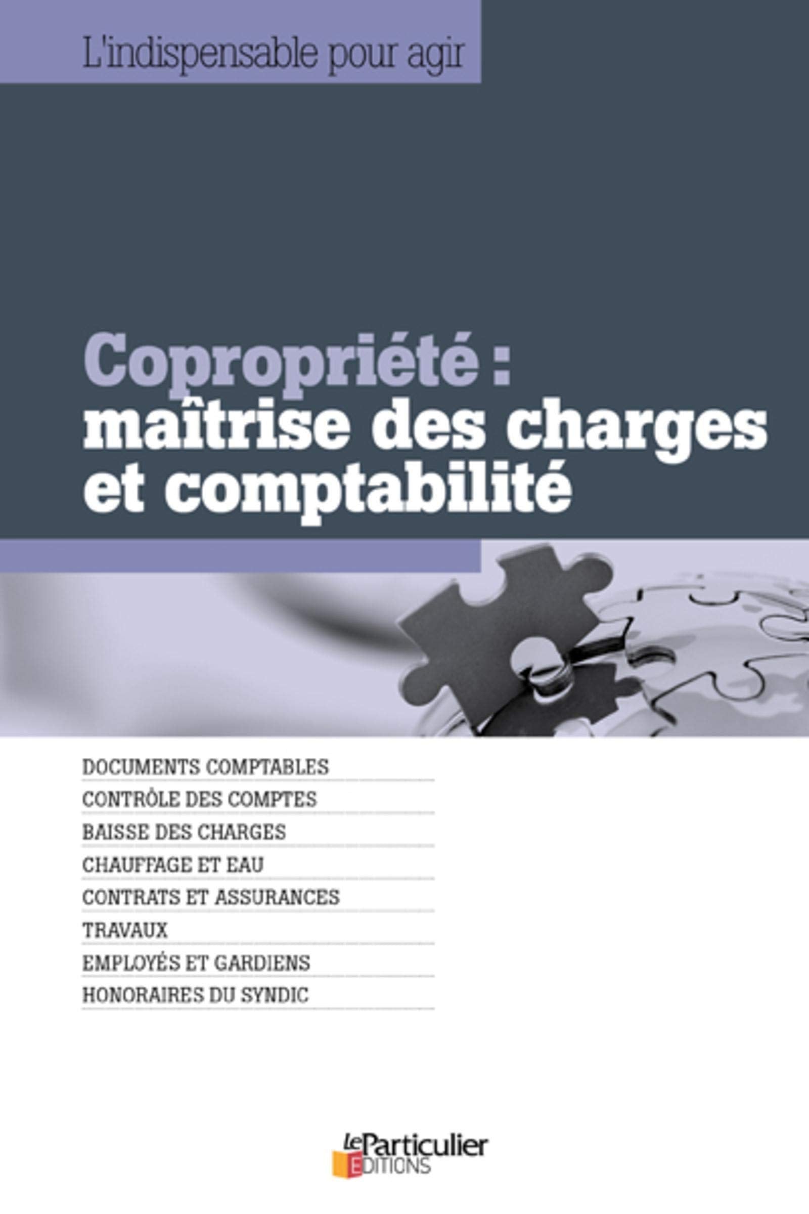 Copropriété : Maitrise des charges et comptabilité, Documents comptables, contrôle des comptes, baisse des charges, chauffage et eau, contrats et ... employés et gardiens, honoraires du syndic book