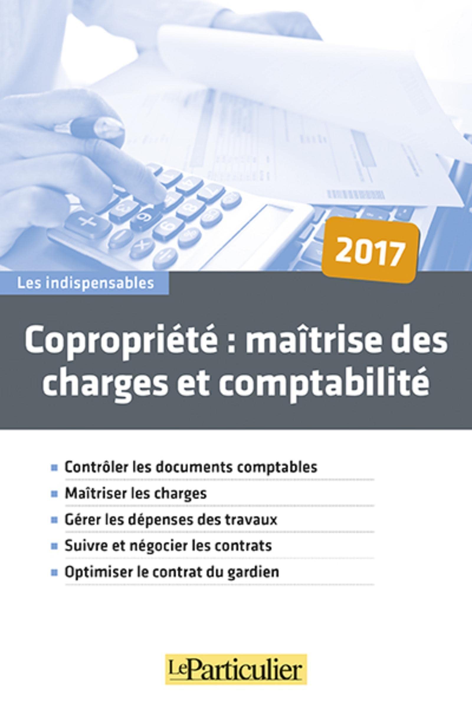 Copropriété : maitrise des charges et comptabilité: Contrôler les documents comptables, maîtriser les charges, gérer les dépenses des travaux, suivre ... les contrats, optimiser le contrat du gardien book
