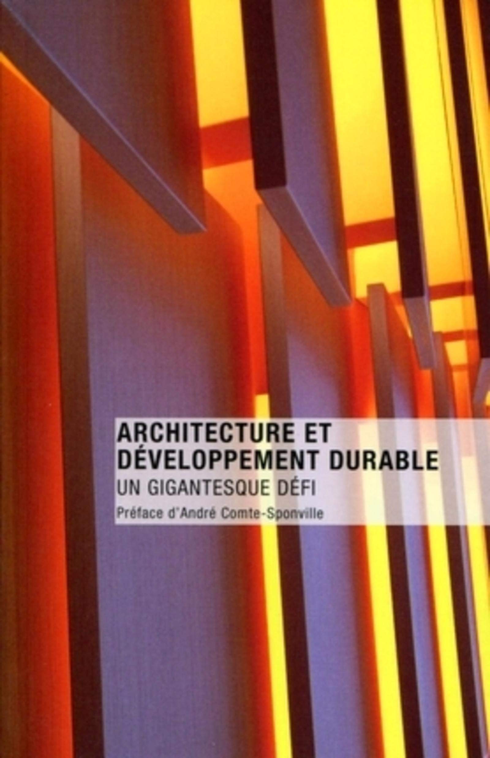 ARCHITECTURE ET DEVELOPPEMENT DURABLE. UN GIGANTESQUE DEFI: UN GIGANTESQUE DEFI. Film, Art & Culture