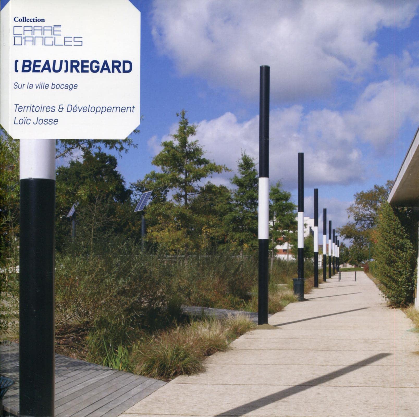(Beau) Regard sur la ville Bocage : Territoires & développement - Loïc Josse book