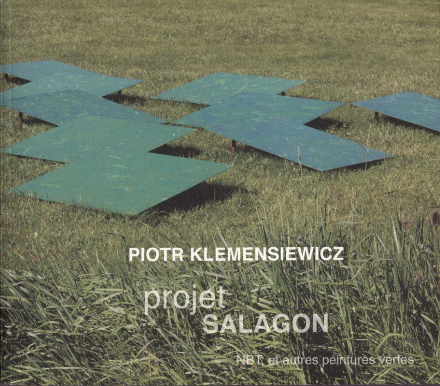 Piotr Klemensiewicz : projet Salagon: NBT et autres peintures vertes book