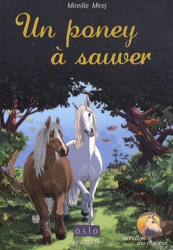 Le vallon des chevaux tome 2 : Un poney à sauver Leisure & Fun