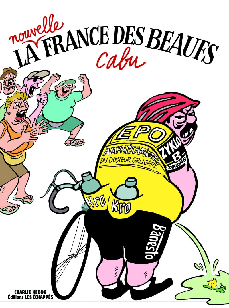 La Nouvelle France des beaufs book