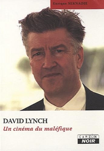 DAVID LYNCH Un cinéma du maléfique Religion & Esotericism
