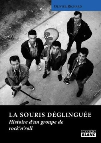 LA SOURIS DEGLINGUEE Histoire d'un groupe de rock'n'roll book