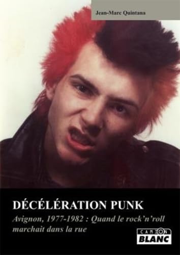 DECELERATION PUNK Avignon 1977-1980 : quand les punks arpentaient les rues de la ville book