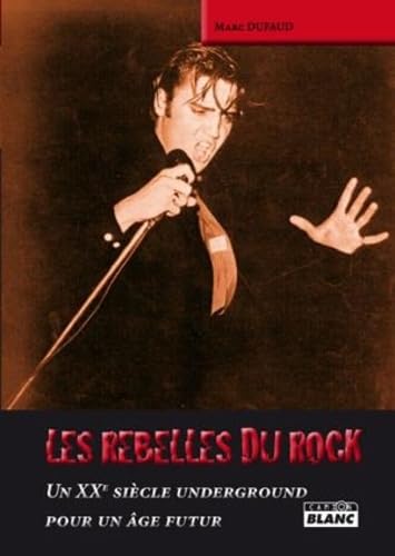 LES REBELLES DU ROCK Un XXe siècle underground pour un âge futur book